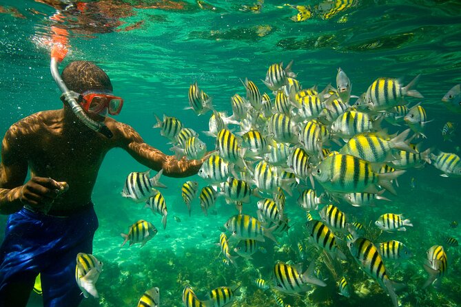 Negril Seven Miles Beach, Snorkeling, Boat Ride, Ricks Cafe Combo - What The $200 Price Really Buys