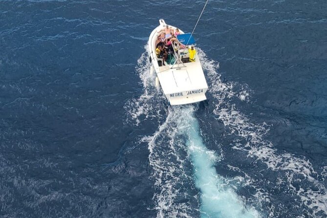 Negrils Seven Miles Beach, Rick's cafe and Parasailing Tour. - The drivers are a major part of the experience