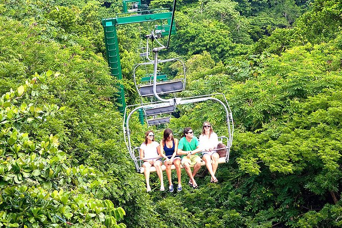 Ocho Rios Day Tour 3 in 1 Combo - Transport, timing, and the real value of $220