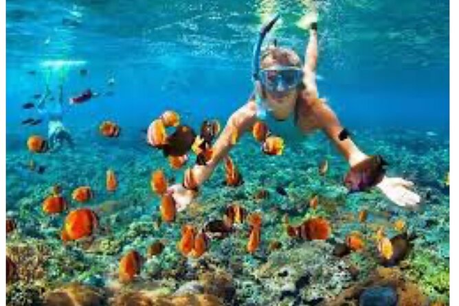 Party Catamaran and Snorkeling Tour in Montego Bay - Music, drinks, and the social side of the cruise