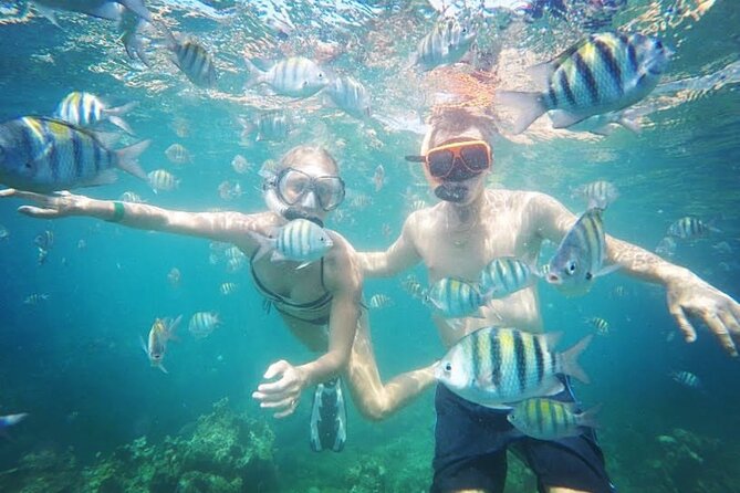 Party Catamaran Cruise with Open Bar and Snorkeling Montego Bay - Safety, comfort, and drinking wisely