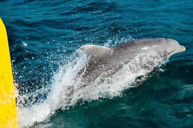 Party Catamaran: OpenBar, Music, Negril Beach, Caves, Snorkeling - The open-bar catamaran party