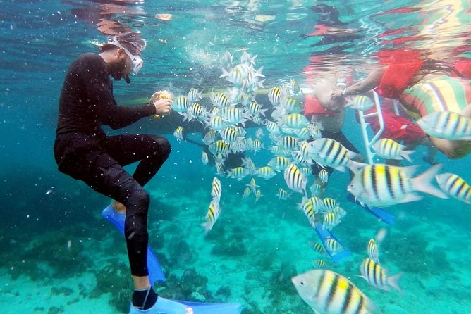 Party Catamaran: OpenBar, Music, Negril Beach, Caves, Snorkeling - What the $90 price really buys