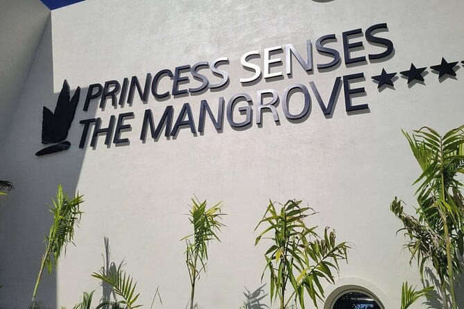Princess Senses The Mangrove Airport Transfers - Who will like this airport transfer most?