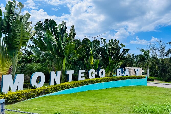 Private Airport Transfer to Excellence, Ocean Coral and Royalton - Key points to know before booking
