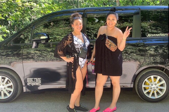 Private Airport Transfer to Excellence, Ocean Coral and Royalton - What the private vehicle includes