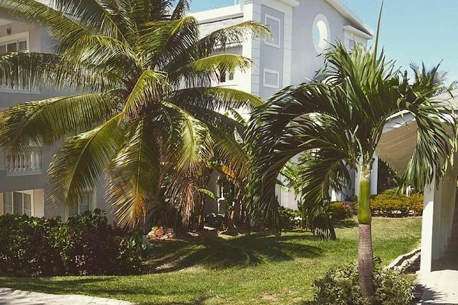 Private Airport Transfer to Lady Hamilton and Grand Palladium - Who will appreciate this transfer most