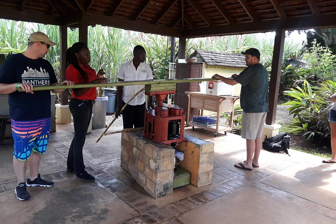 Private Appleton Estate Rum and Pelican Bar Tour from Montego Bay - A closer look at Appleton Estate’s two-hour rum experience
