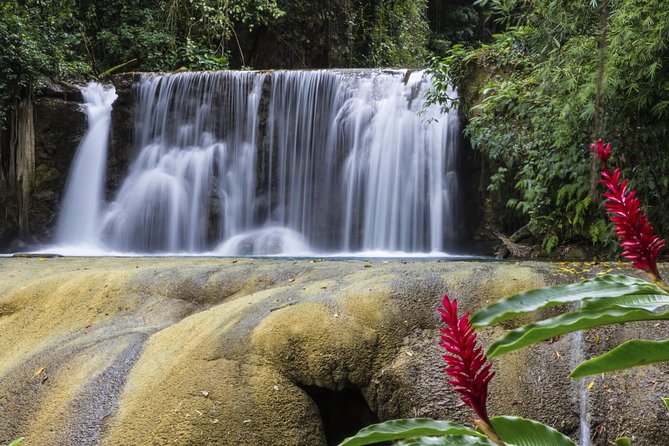 Private Appleton YS Falls and Black River Tour from Montego Bay - Who should book this tour