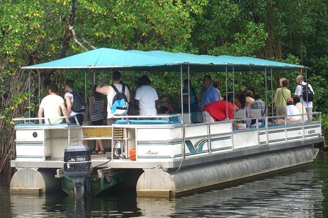 Private Appleton YS Falls and Black River Tour from Montego Bay - YS Falls: rope swings, pools, and slippery footing