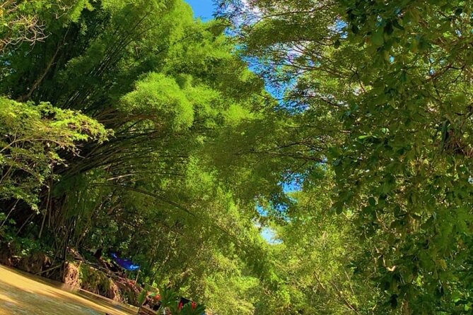 Private Bamboo River Rafting & Foot Massage from Montego Bay - Handling the guide issue