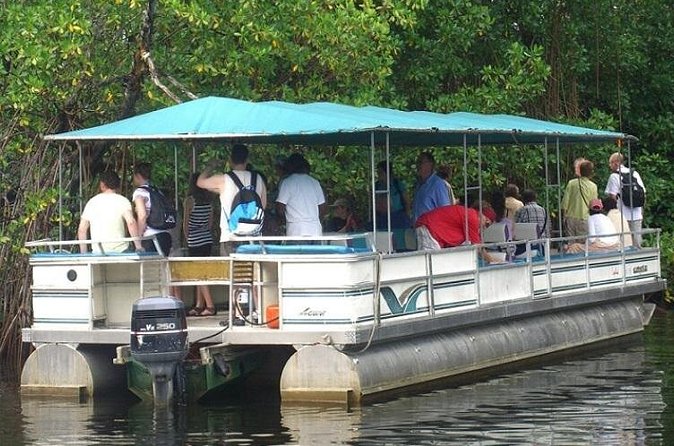 Private Black River Safari Tour from Montego Bay - Who will enjoy this Black River outing