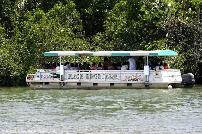 Private Black River Safari Tour from Montego Bay - Crocodiles, birds, and the river habitat