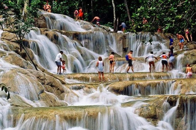 Private Bob Marley 9 mile & DunnsRiverFalls Tour from Montego Bay - Booking details that matter