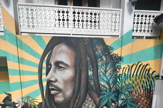 Private BOB Marley's 9miles Tour & Dunn’s River Falls Experience - Why the private vehicle changes the day