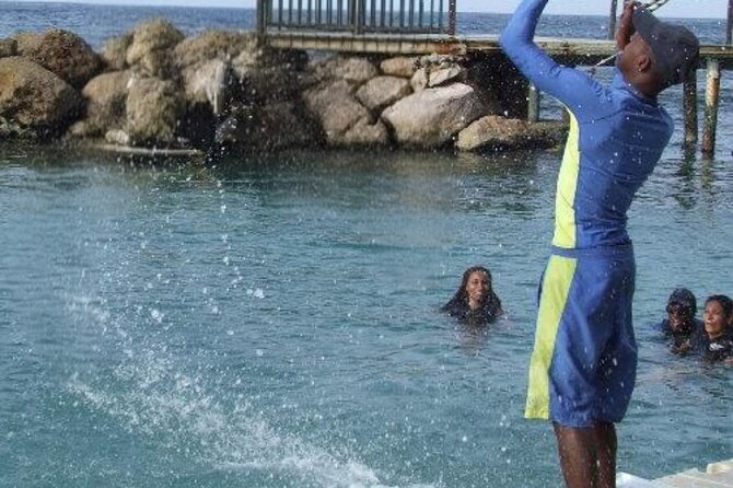 Private Dolphin Cove Adventure - Is $250 per person a fair price?