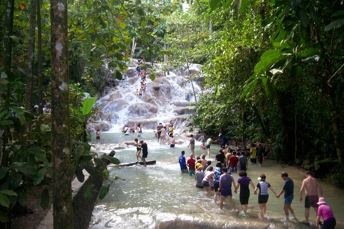 Private Dunn's River Falls Adventure from Montego Bay - A private ride changes the day from Montego Bay