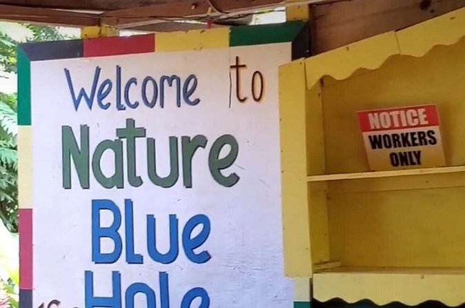 Private Dunns River Falls and Blue Hole from Montego Bay Tour - Is $100 per person good value?