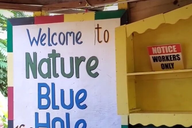 Private Dunns River Falls and Blue Hole from Montego Bay Tour - Who should book this experience?