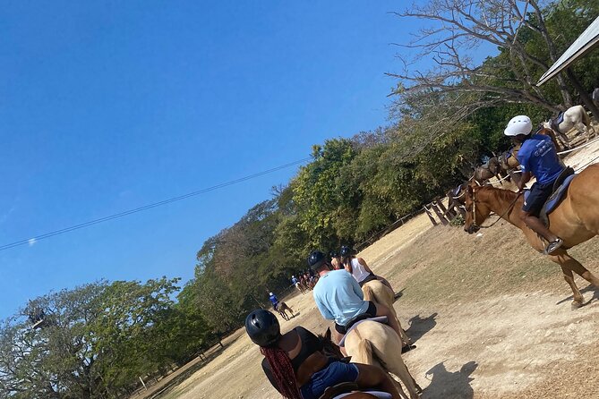 Private Dunns River Falls and Horse Back Riding - Two Jamaican highlights in one four-hour outing