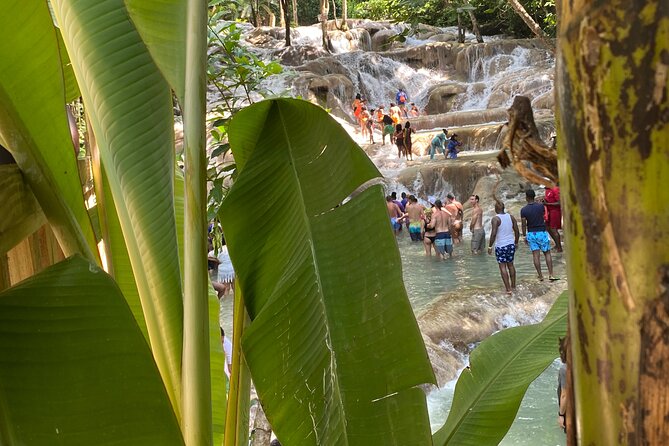 Private Dunns River Falls and Horse Back Riding - Horseback riding through Saint Ann Parish