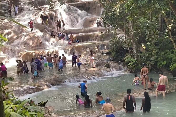 Private Dunns River Falls and Horse Back Riding - Who will get the most from this tour