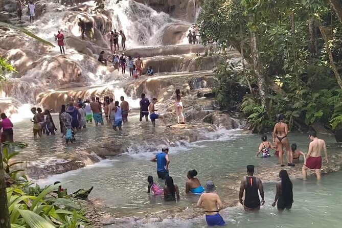 Private Dunns River Falls and Horse Back Riding - Should you book this Dunn’s River and horseback tour?