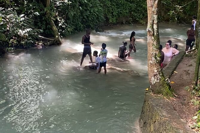 Private Dunns River Falls and Horse Back Riding - A scenic stop before the main activities