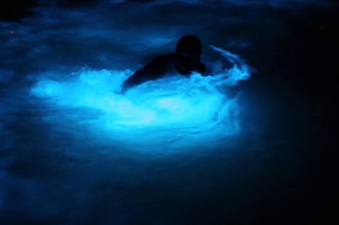 Private Guided Night Tour of Luminous Lagoon in Montego Bay - Key points to know before booking