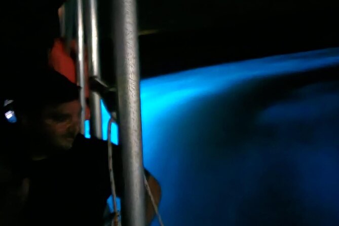 Private Guided Night Tour of Luminous Lagoon in Montego Bay - Who will enjoy this Montego Bay excursion?