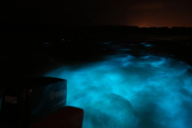 Private Guided Night Tour of Luminous Lagoon in Montego Bay - Arrival, welcome drink, and first look at the lagoon