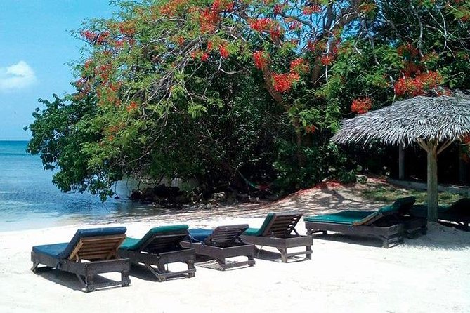 Private Half Moon Beach Tour from Montego Bay - Leaving Montego Bay for a quieter beach