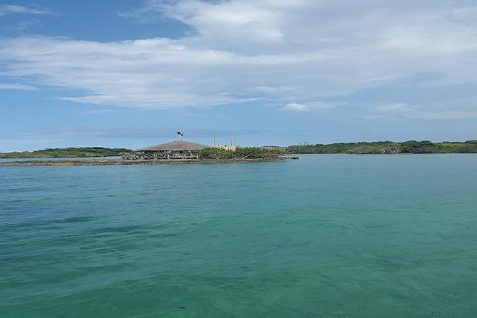 Private Half Moon Beach Tour from Montego Bay - What lunch and drinks cost you