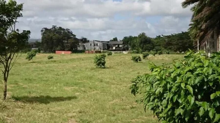 Private Hampden Estate Rum Trip from Montego Bay - Why Hampden Estate is worth the trip from Montego Bay