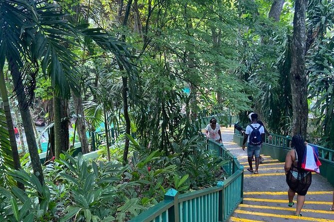 Private Horseback Riding, Swimming and Dunn's River Falls Tour - One day, three very different Jamaican activities