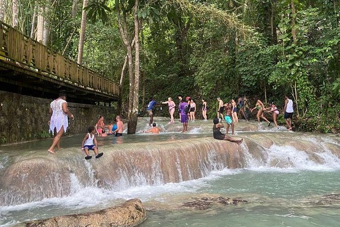 Private Horseback Riding, Swimming and Dunn's River Falls Tour - The private drive from Montego Bay
