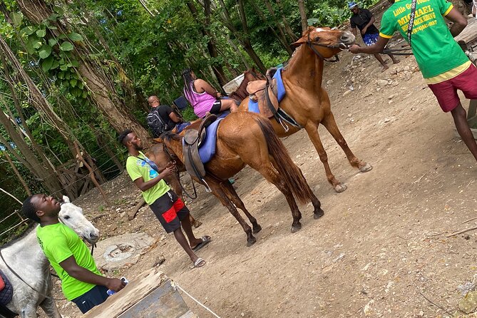 Private Horseback Riding with Blue Hole River Tour in Montego Bay - Blue Hole: one hour in the river