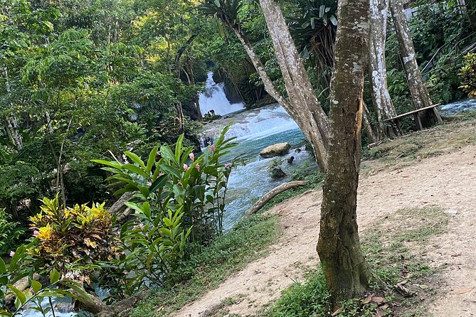 Private Horseback Riding with Blue Hole River Tour in Montego Bay - Photography that does more than record the day