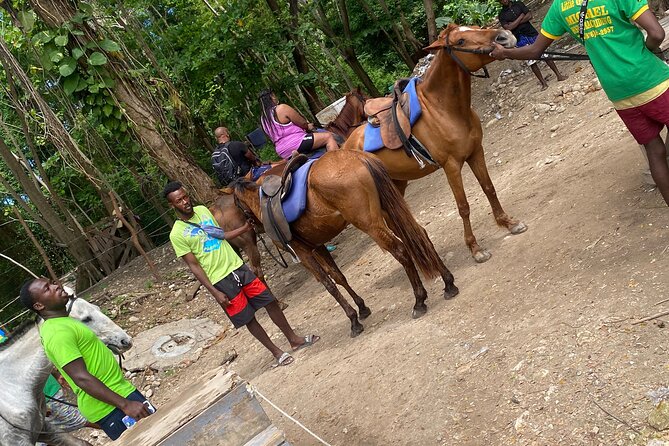 Private Horseback Riding with Blue Hole River Tour in Montego Bay - The value of $80 per person
