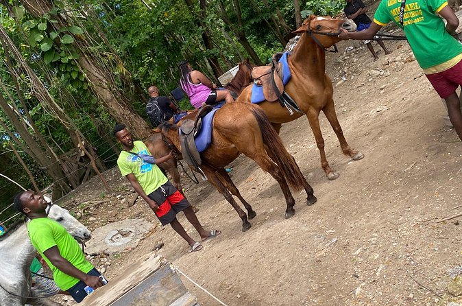 Private Horseback Riding with Blue Hole River Tour in Montego Bay - Who will enjoy this best