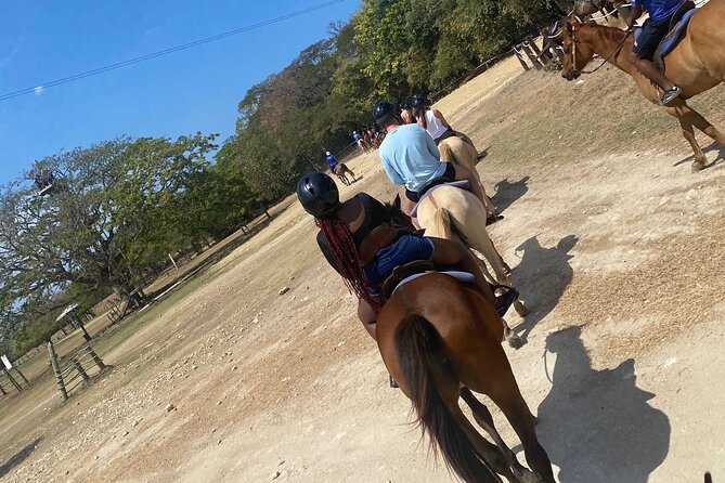 Private Horseback Riding with Blue Hole River Tour in Montego Bay - Why the private vehicle matters