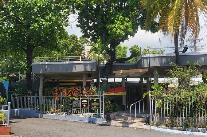 Private Kingston and Bob Marley Museum Tour from Falmouth - Who will get the most from this tour?