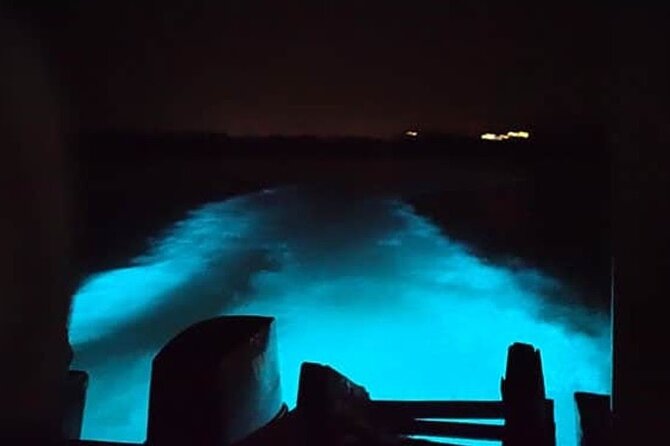 Private Luminous Blue Lagoon Night Tour in Falmouth - What the Luminous Lagoon experience is really about