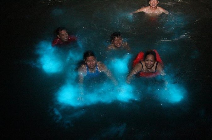 Private Luminous Blue Lagoon Night Tour in Falmouth - Is $90 per person a fair price?