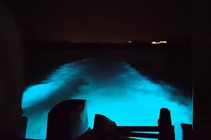 Private Luminous Blue Lagoon Night Tour in Falmouth - Weather, cancellation, and flexibility