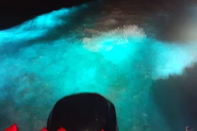 Private Luminous Blue Lagoon Night Tour in Falmouth - Private transport from Montego Bay
