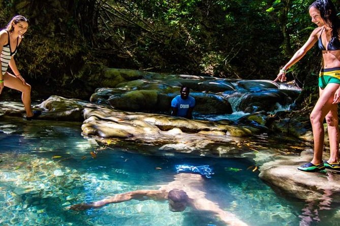 Private Mayfield Falls Waterfalls Tour [ Transportation ] - Why Mayfield Falls works well as a private outing