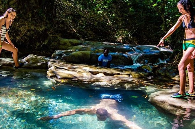 Private Mayfield Falls Waterfalls Tour [ Transportation ] - How this experience compares with a large group tour