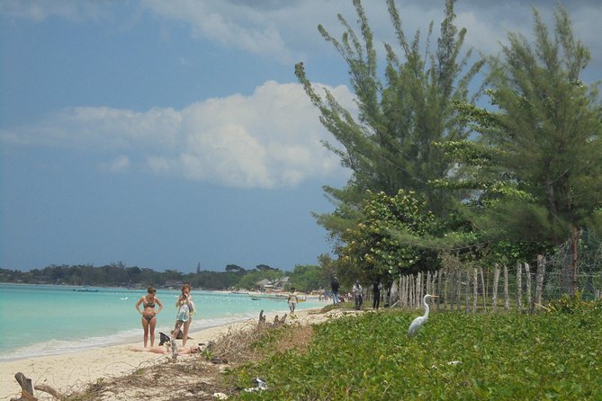 Private Montego Bay Airport Transfer to Negril - Air conditioning, vehicle size, and comfort