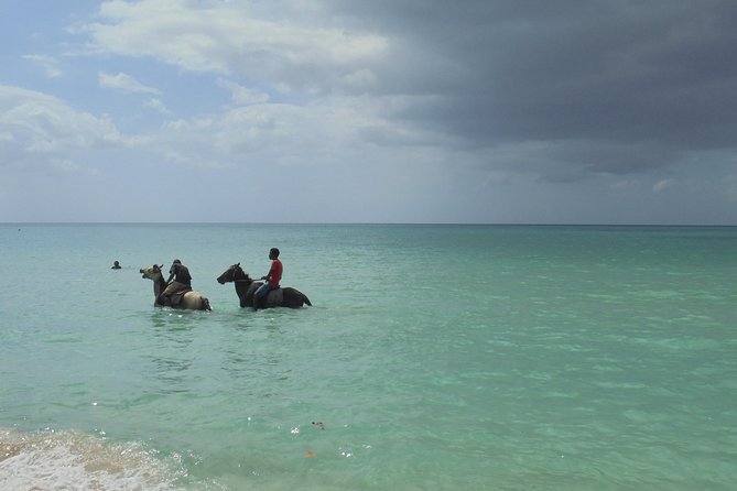 Private Montego Bay Airport Transfer to Negril - Optional stops for photos, food, and supplies